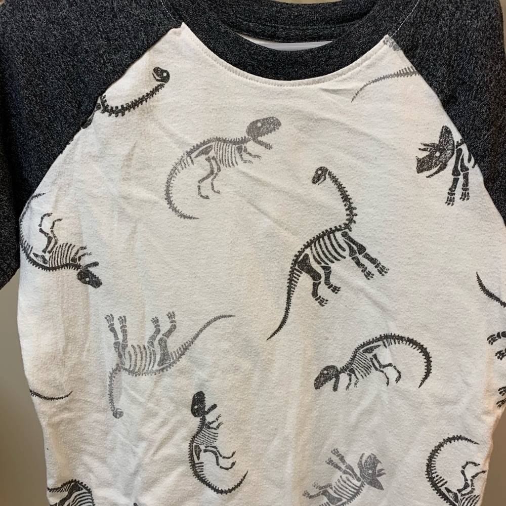 Boys Dinosaur tee sz 7